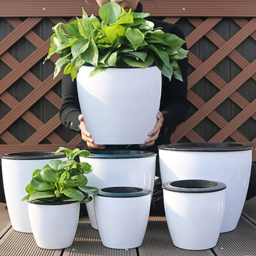 Lazy Flower Pot Self-Watering  - Aloe Vera Pot review and price