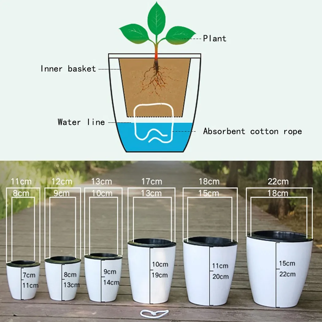 Lazy Flower Pot Self-Watering  - Aloe Vera Pot review and price