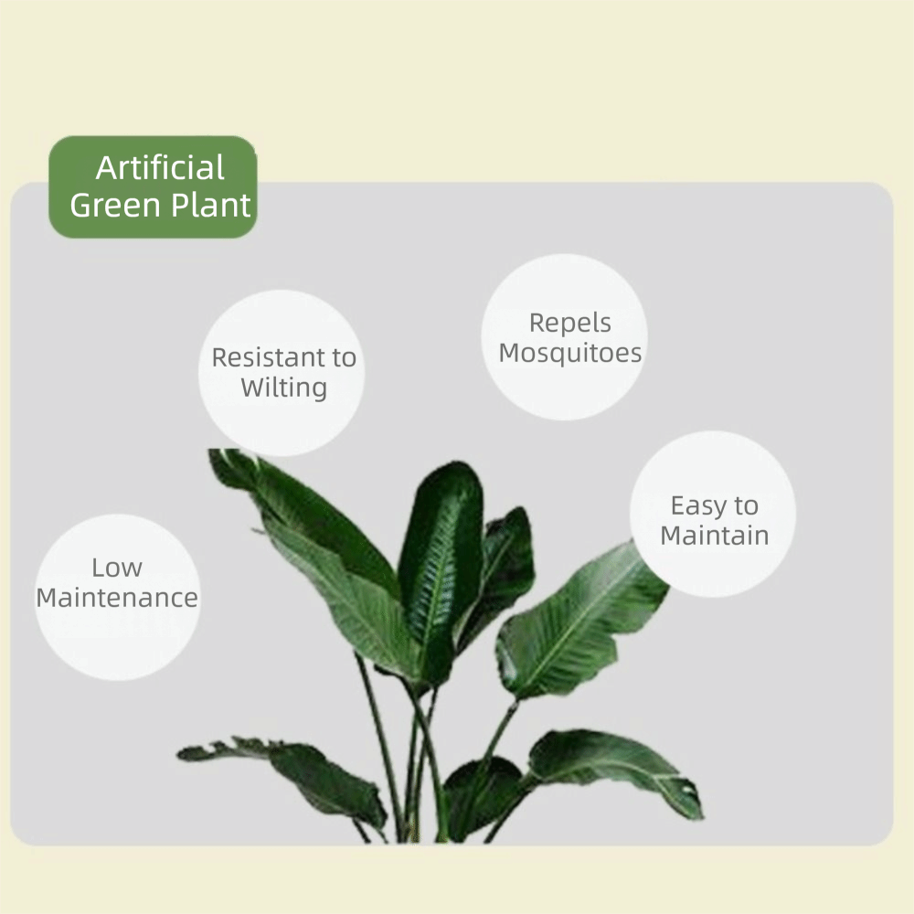 Green Plastic Artificial Ficus - Dracaena Marginata review and price