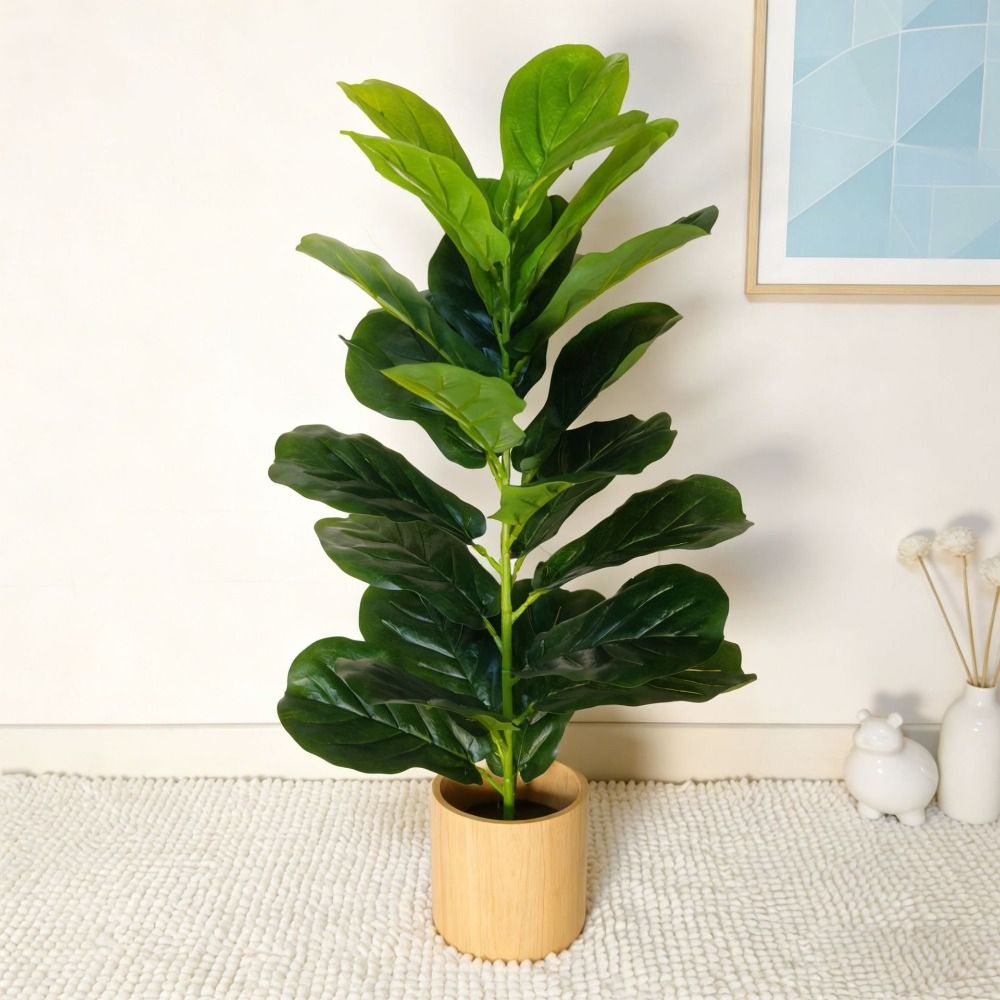 Green Plastic Artificial Ficus - Dracaena Marginata review and price