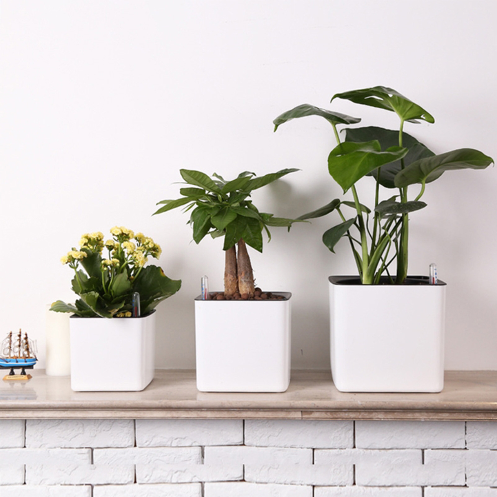 Self Watering Planter Self-wat - Aloe Vera Pot review and price