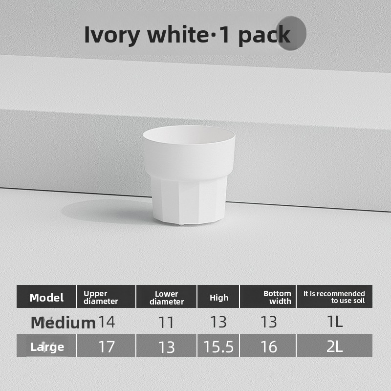 Nordic Minimalist Style Green  - Aloe Vera Pot review and price