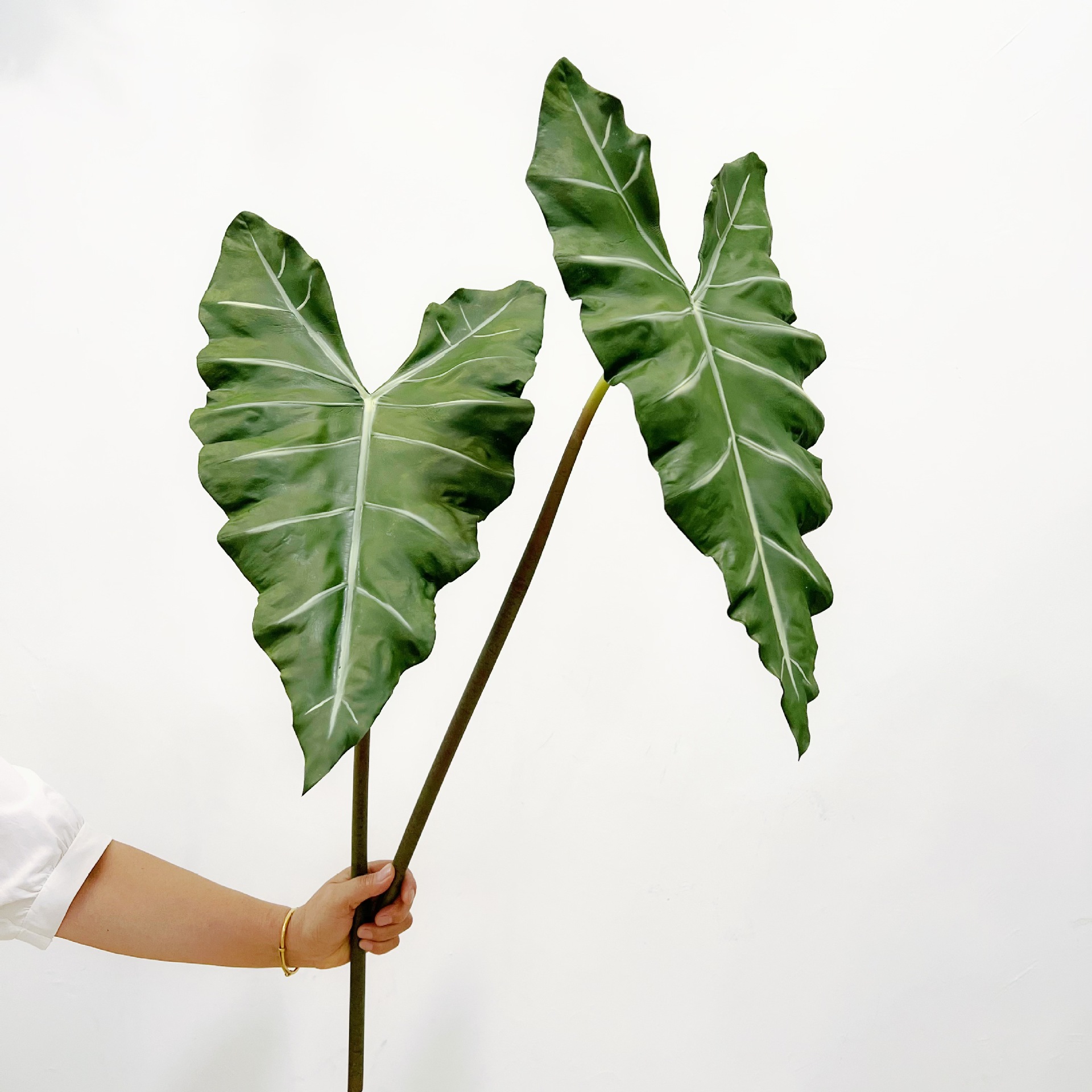 Simulated Long PU Hand-feel Gr - Dracaena Marginata review and price