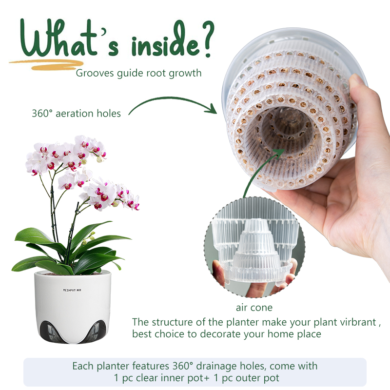 Meshpot Orchid Pots with Holes - Aloe Vera Pot review and price