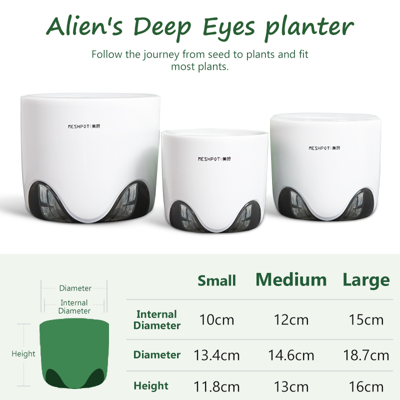 Meshpot Orchid Pots with Holes - Aloe Vera Pot review and price